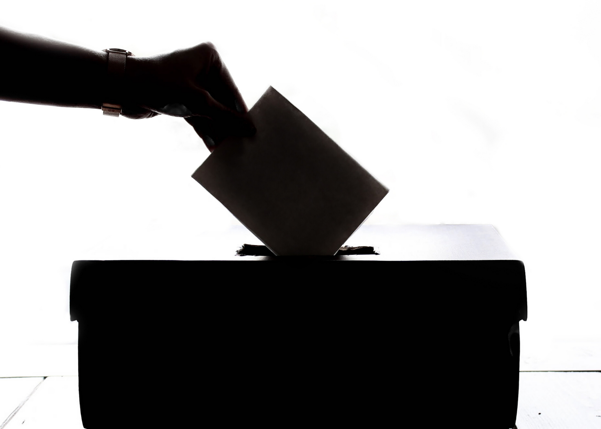 Legislative Effectiveness at Primaries