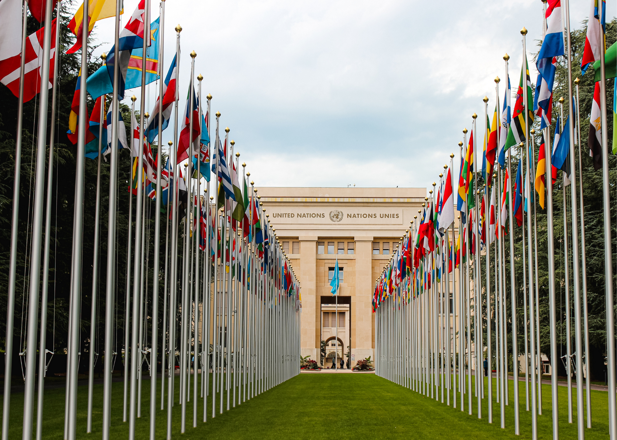 International Affairs Policy Legislative Effectiveness Scores: Highlights from the 116th Congress