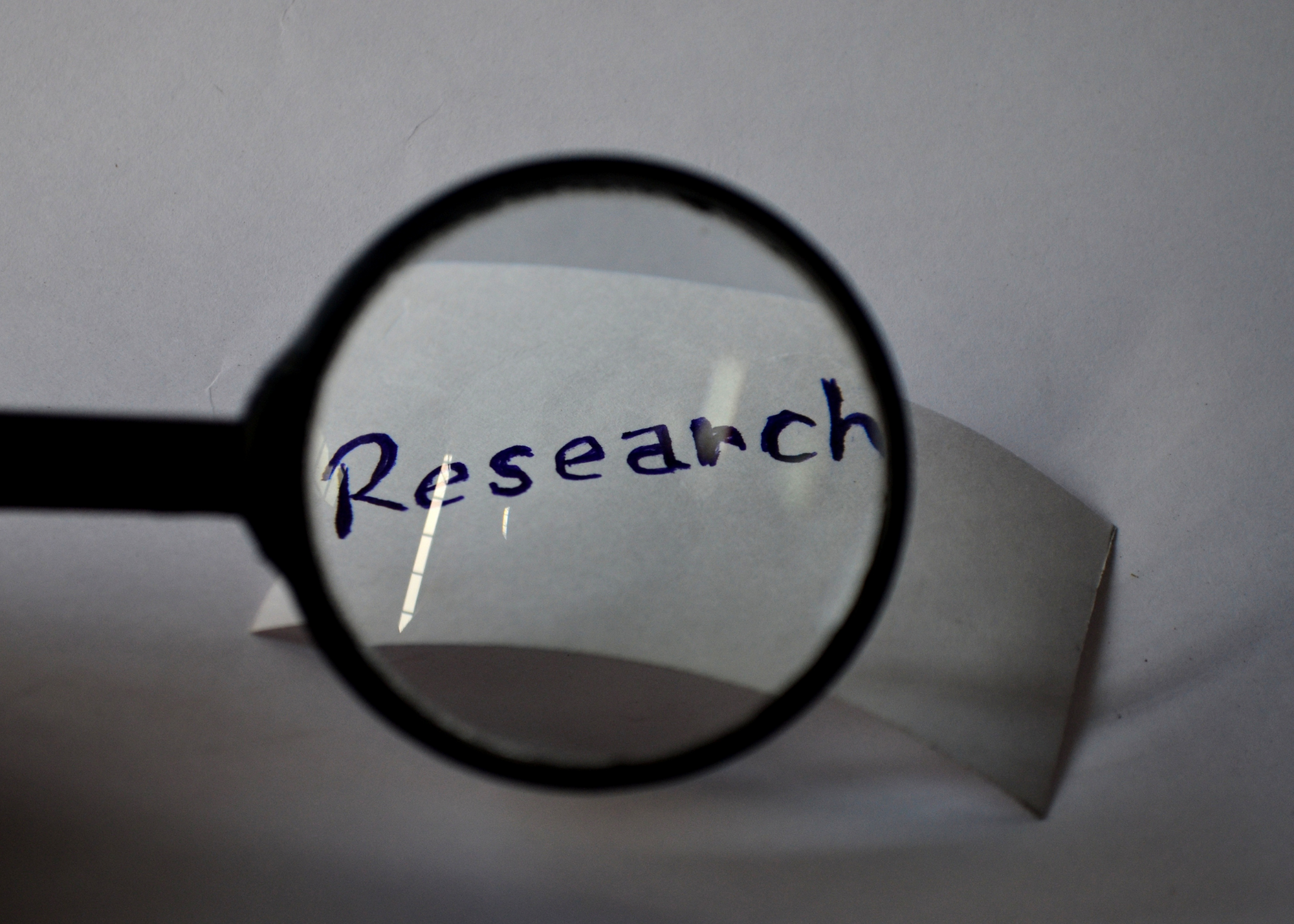 2024-2025 Small Grant Awards Announced