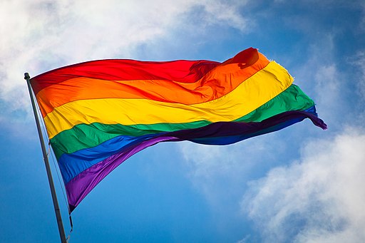 I’m Coming Out! How Voter Discrimination Produces Effective LGBTQ Lawmakers