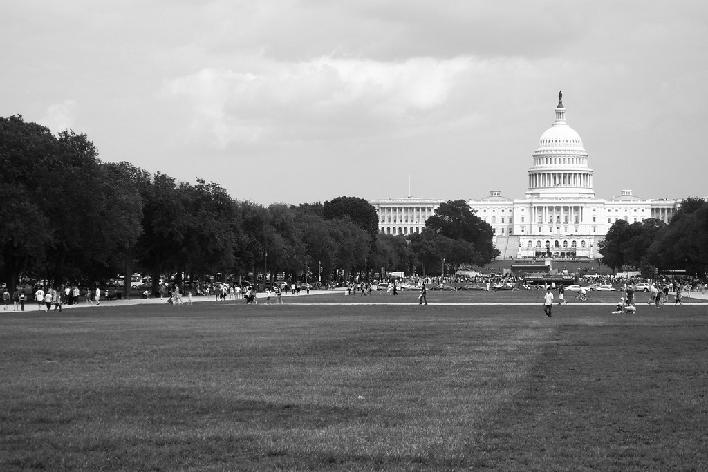 The (Sometimes Untraceable) Origins of Policy Ideas in Congress: An Analysis of Seven Landmark Laws